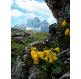 La vista sul versante Nord del Pelmo è da togliere il fiato