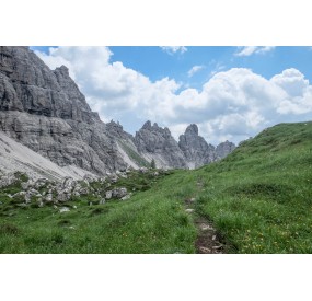 Le praterie pioniere dell'alta valle Monfalcon di Cimoliana